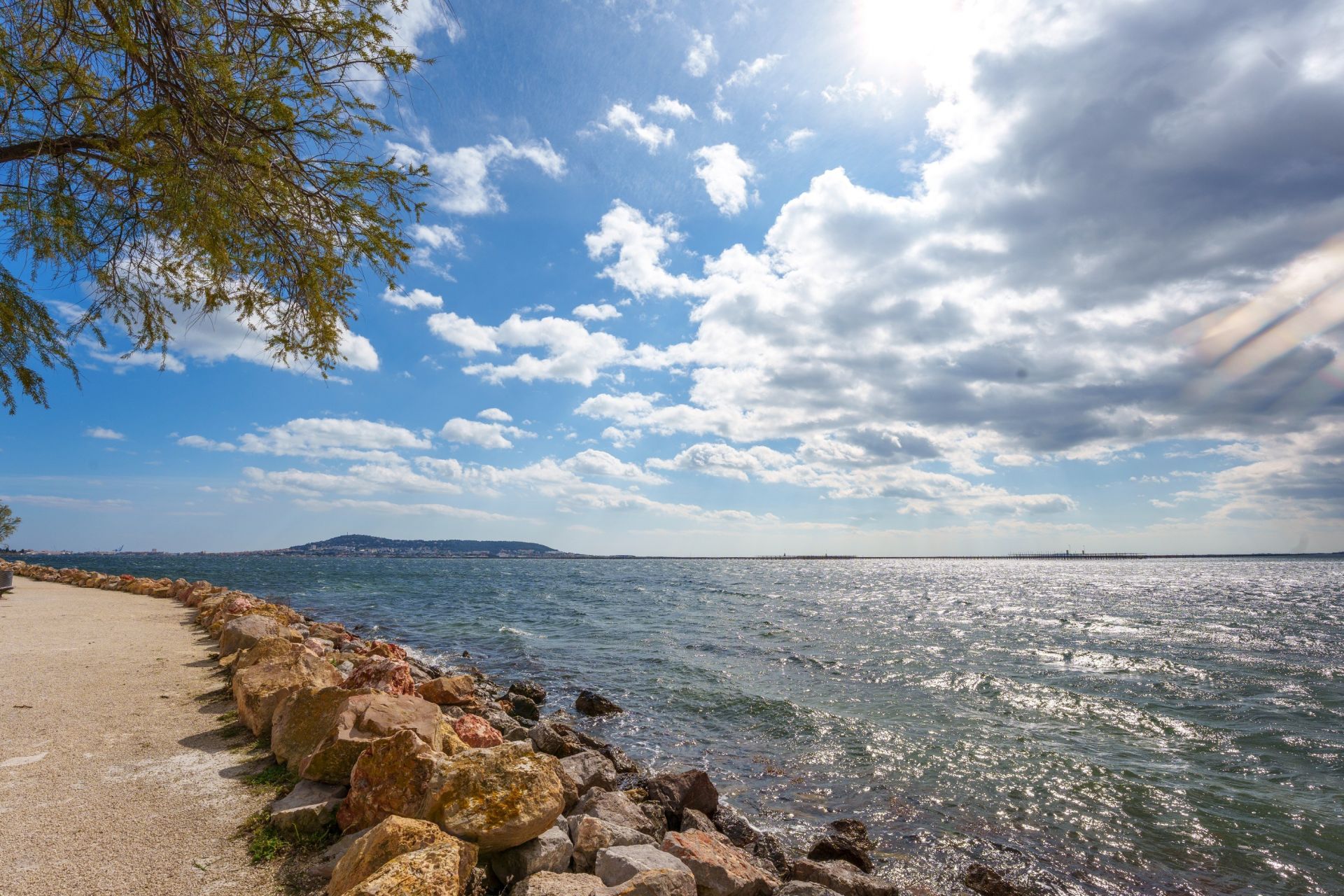 house 9 Rooms for sale on BOUZIGUES (34140)