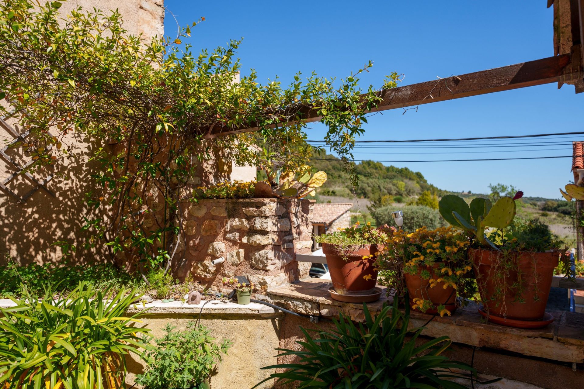 house 13 Rooms for sale on MONTPEYROUX (34150)