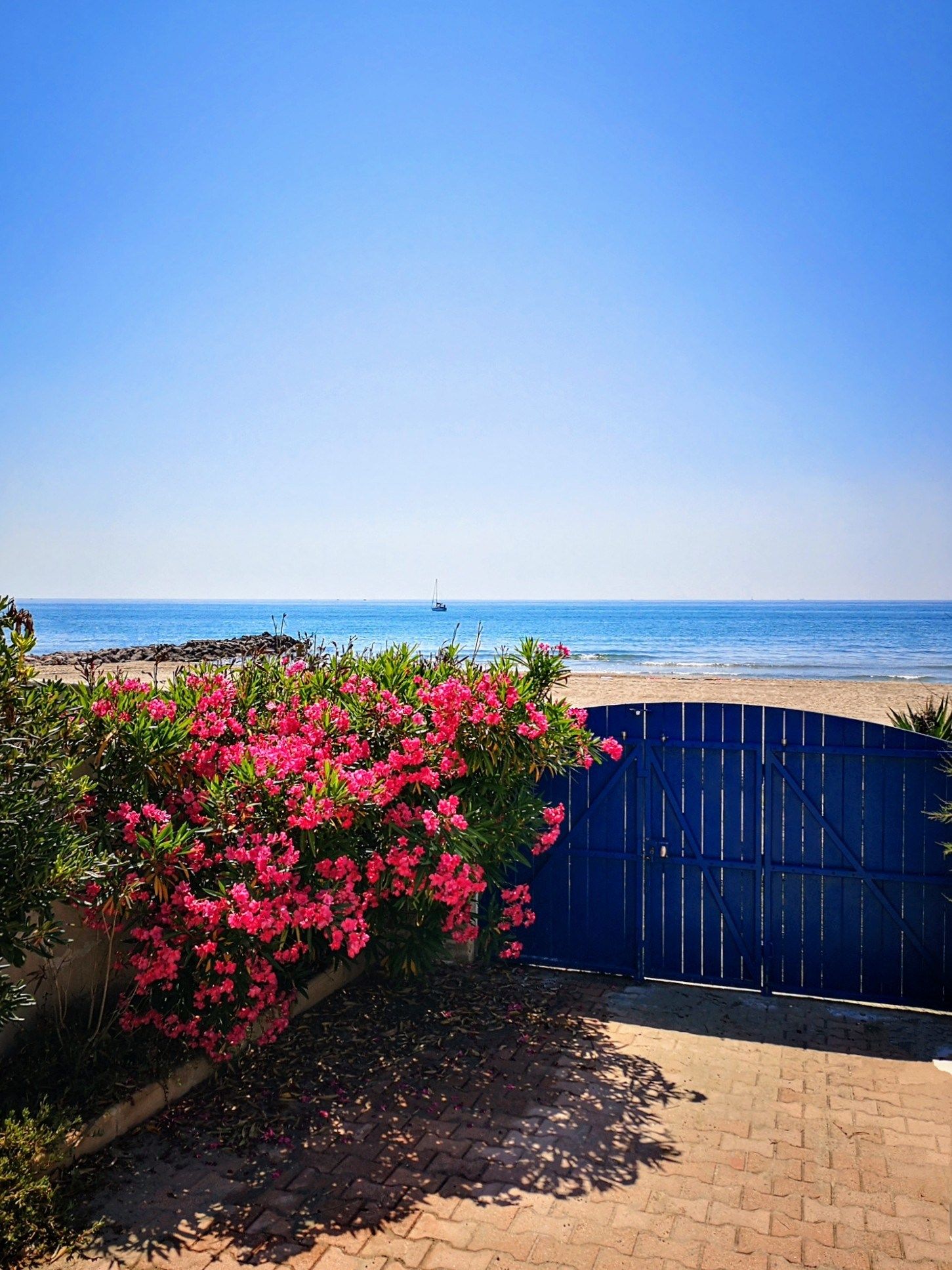 house 8 Rooms for sale on FRONTIGNAN (34110)