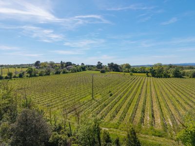 Sale Wine estate Béziers 26&nbsp;Rooms 775&nbsp;m²