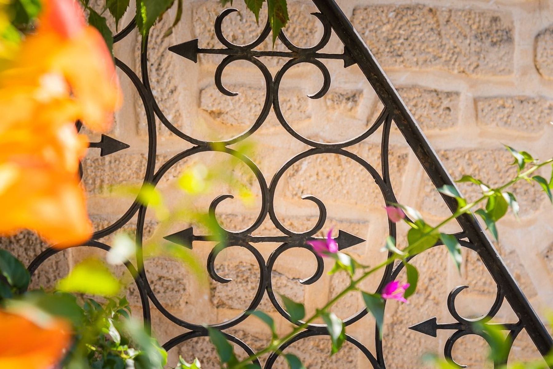 maison 10 Pièces en vente sur ST JEAN DE VEDAS (34430)