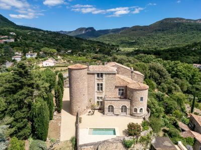 Vente Château Soubès 10&nbsp;Pièces 740&nbsp;m²