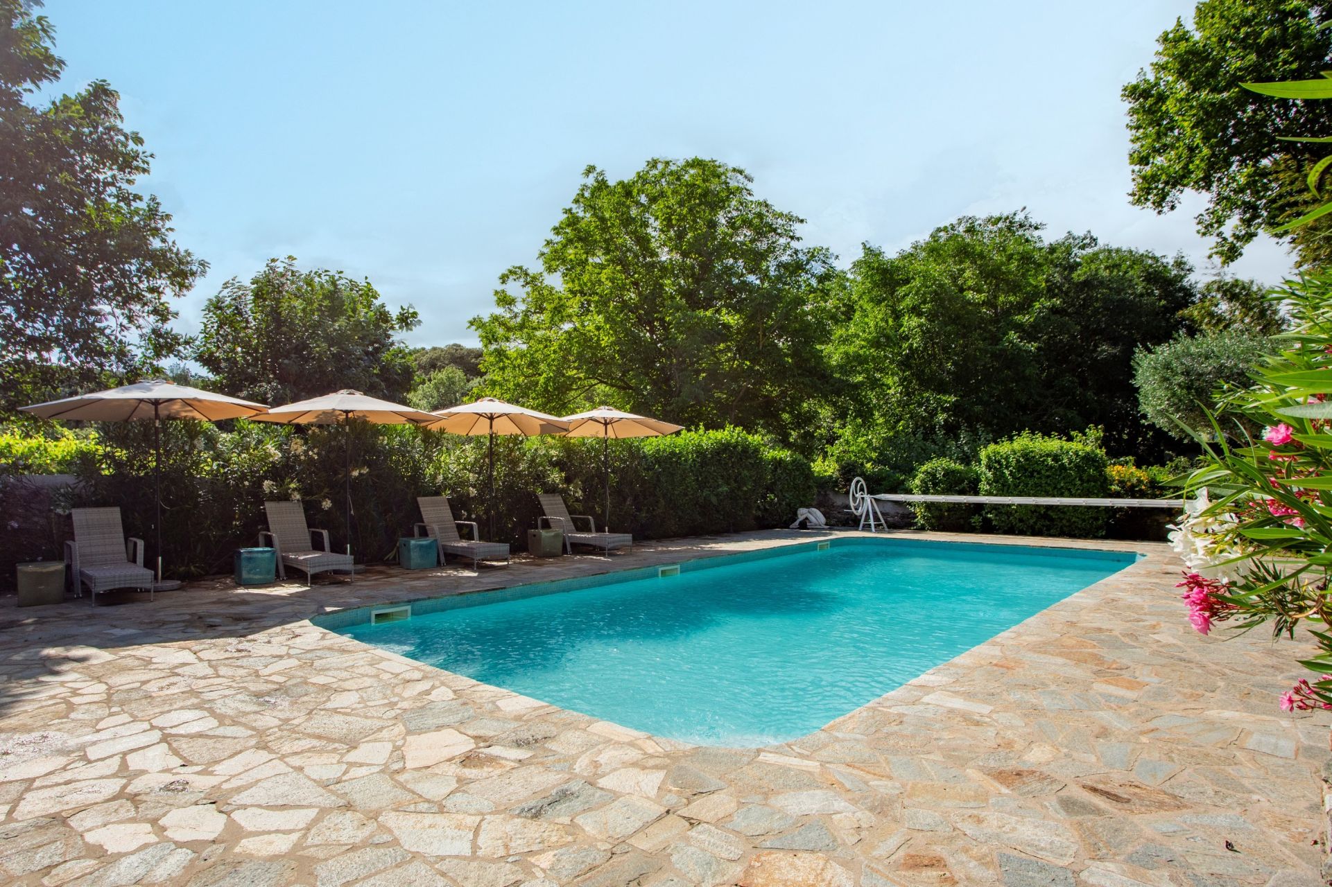 maison 13 Pièces en vente sur FAUGERES (34600)