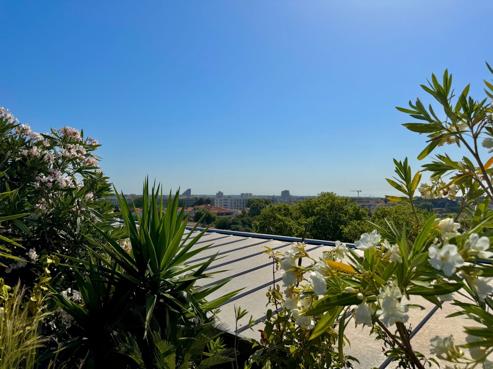 appartement 4 Pièces en vente sur MONTPELLIER (34000)
