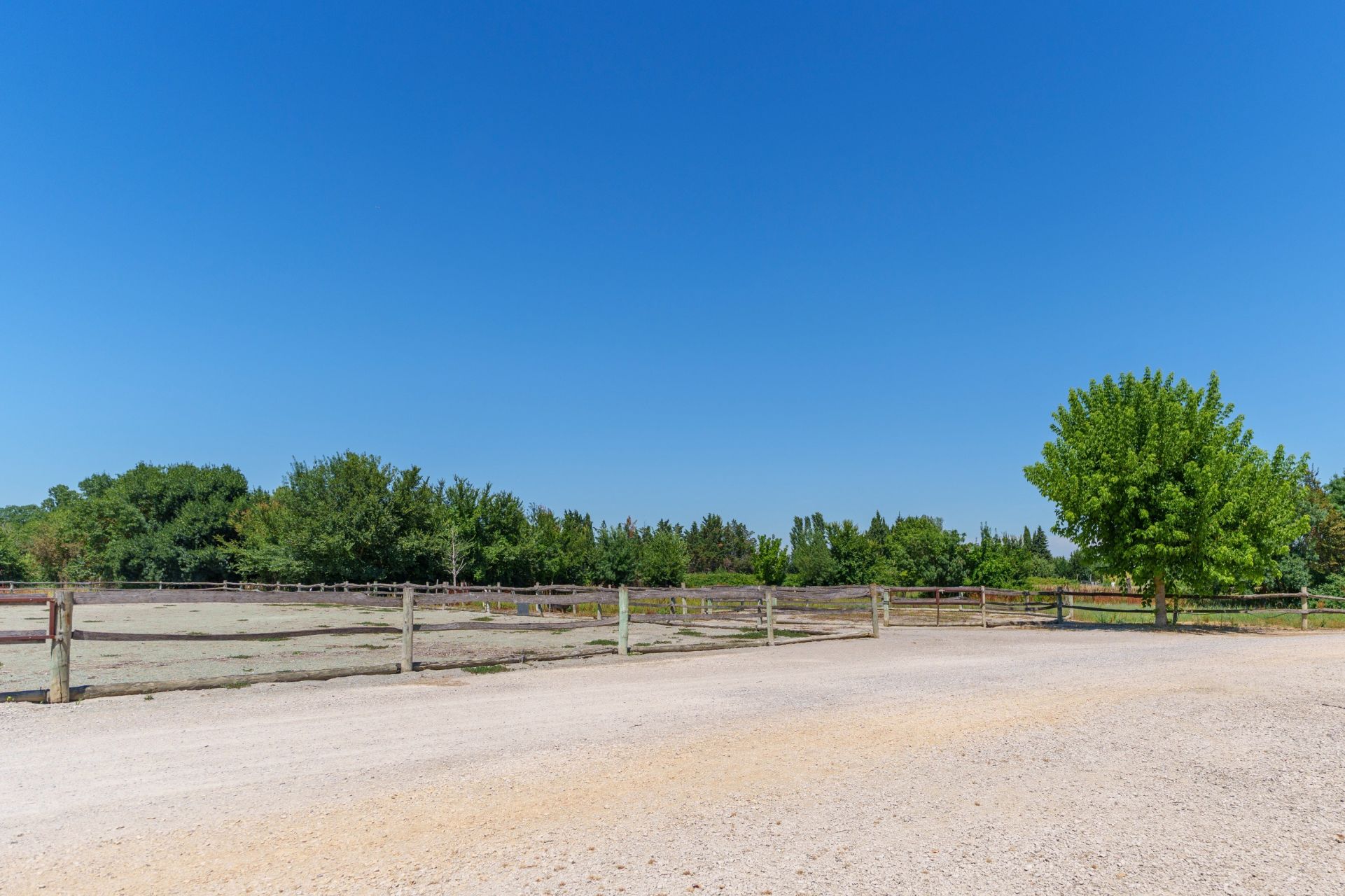 propriété équestre 6 Pièces en vente sur MONTPELLIER (34000)
