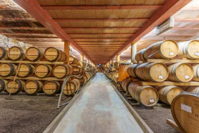 Vente Château Saint-Pargoire 16&nbsp;Pièces 900&nbsp;m²