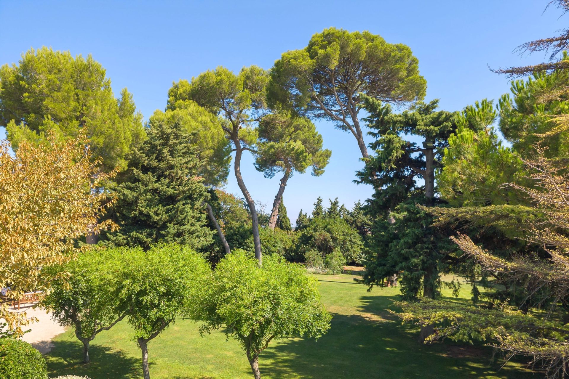 propriété 35 Pièces en vente sur MONTPELLIER (34000)