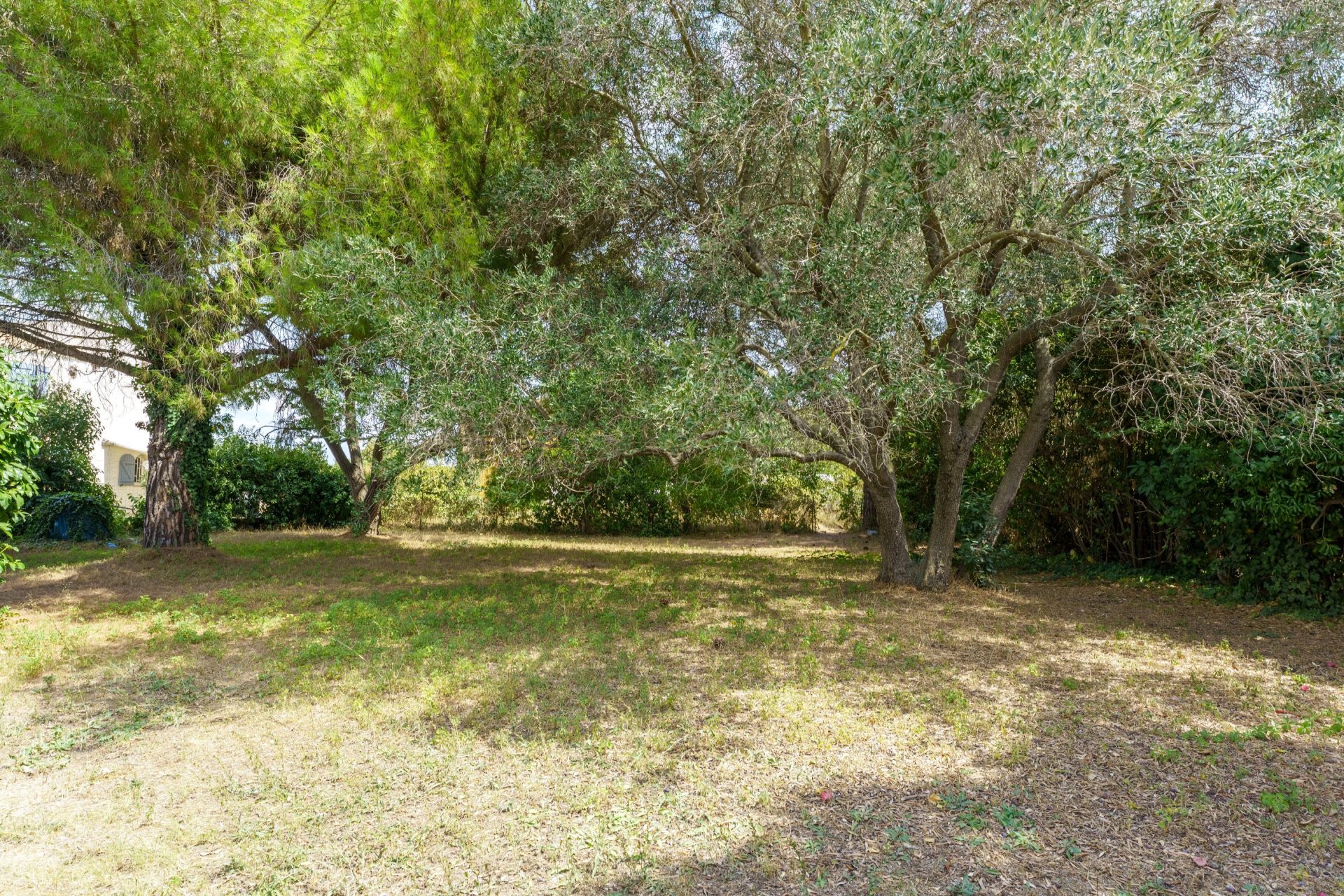 house 7 Rooms for sale on PEROLS (34470)