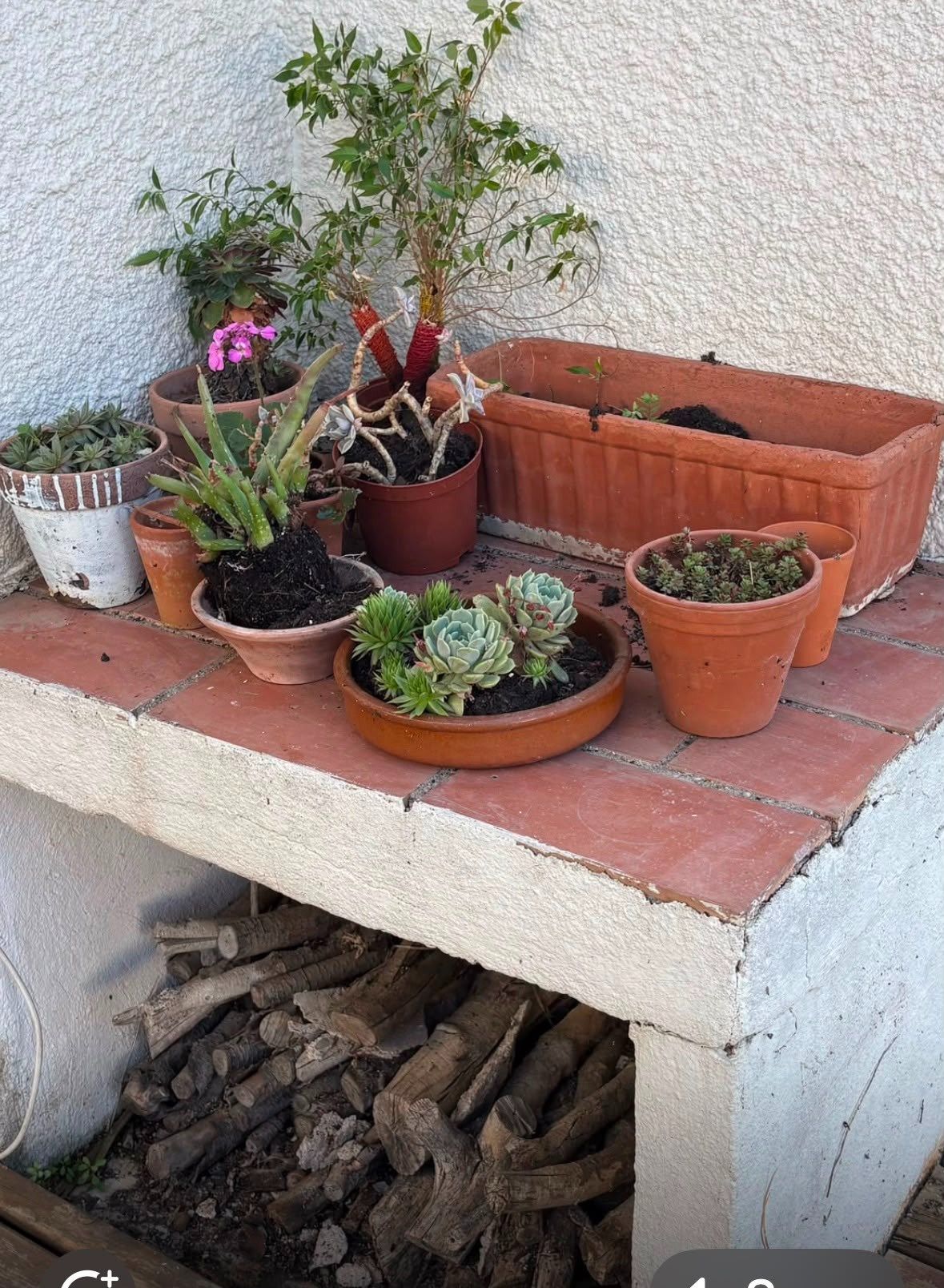 maison 4 Pièces en vente sur MARSEILLAN (34340)