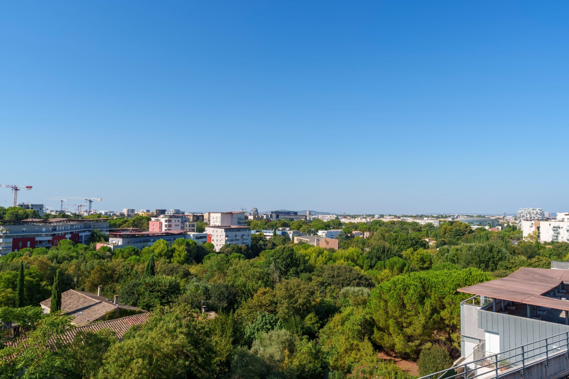appartement 5 Pièces en vente sur MONTPELLIER (34000)