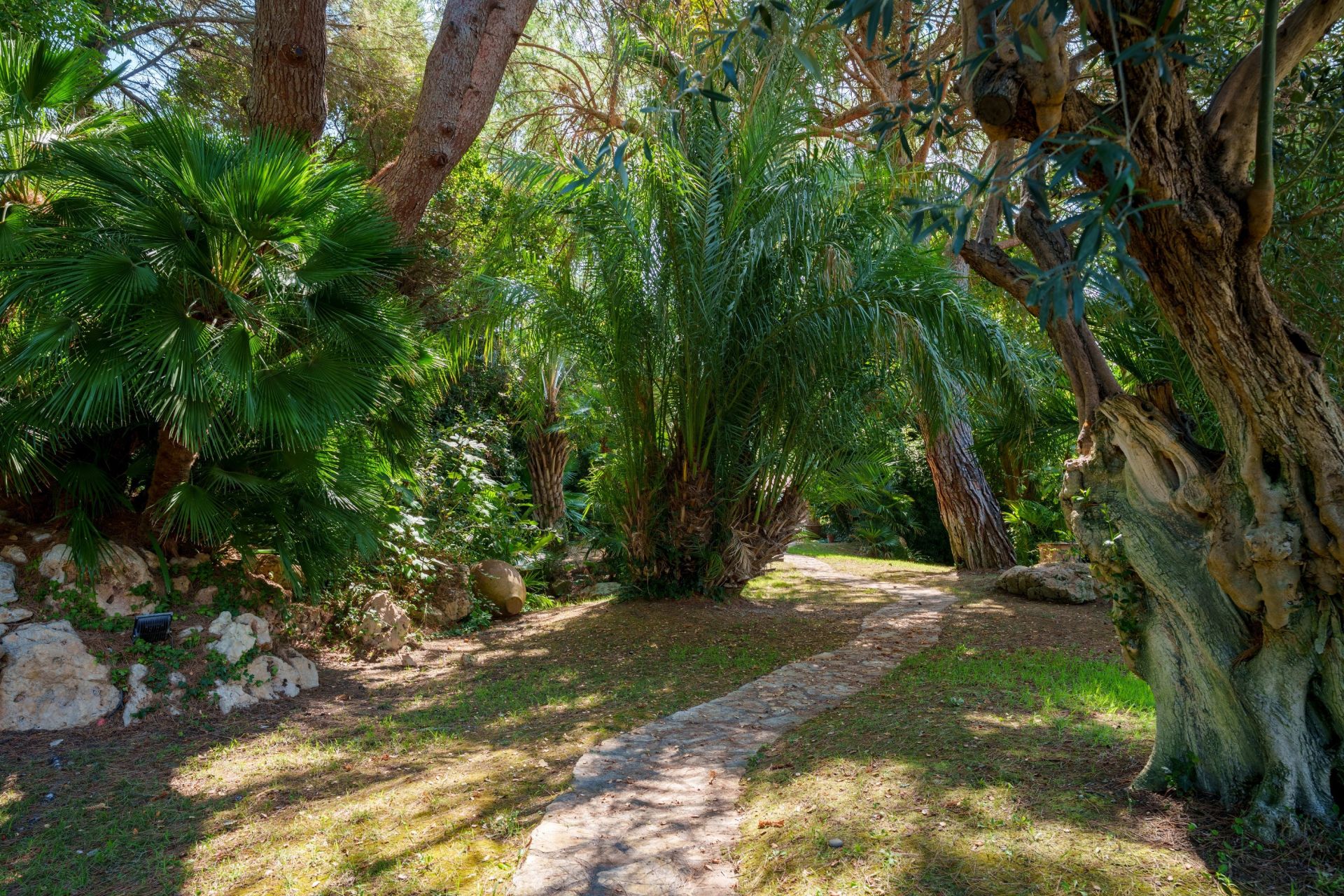 house 12 Rooms for sale on BEZIERS (34500)