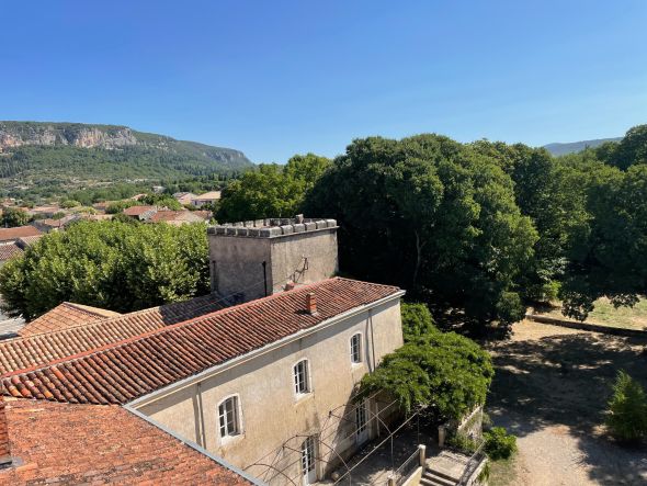 Vente Propriété Montpellier 30&nbsp;Pièces 1100&nbsp;m²