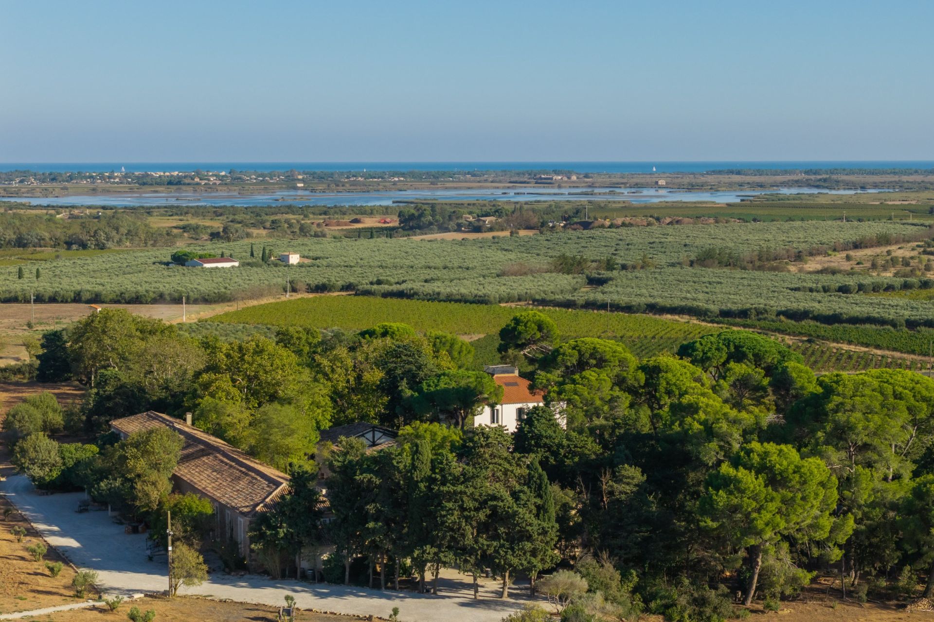 propriété 56 Pièces en vente sur LE GRAU D AGDE (34300)