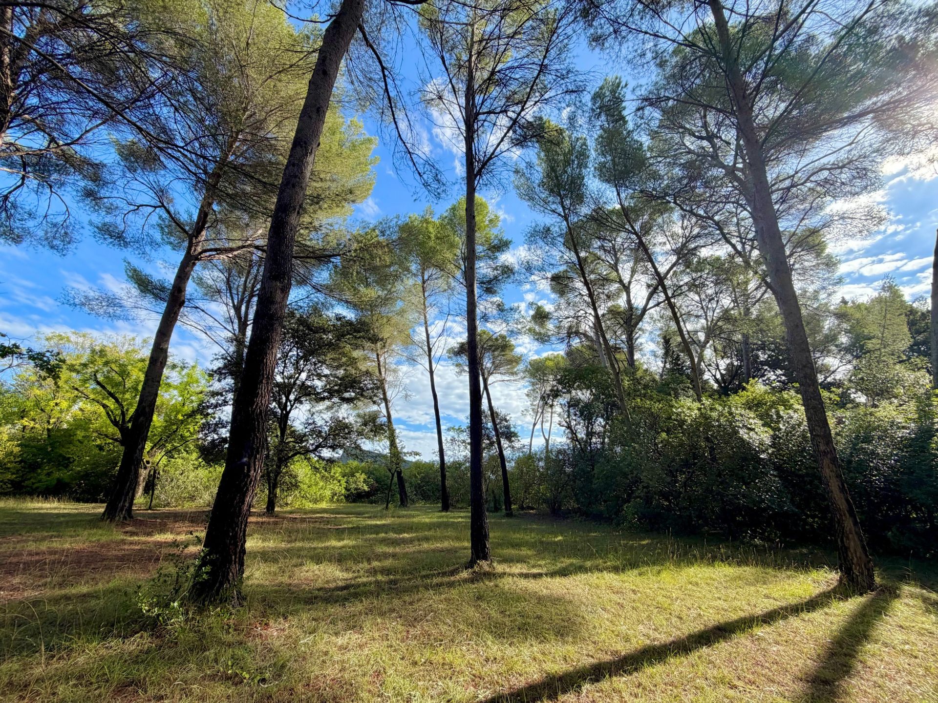 house 21 Rooms for sale on MONTPELLIER (34000)