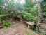 buildable land for sale on ST GELY DU FESC (34980)
