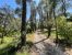 buildable land for sale on CLAPIERS (34830)