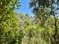 buildable land for sale on CLAPIERS (34830)