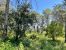 buildable land for sale on CLAPIERS (34830)