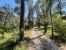buildable land for sale on CLAPIERS (34830)
