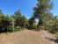buildable land for sale on CLAPIERS (34830)
