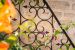 house 10 Rooms for sale on ST JEAN DE VEDAS (34430)