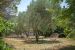 house 7 Rooms for sale on PEZENAS (34120)